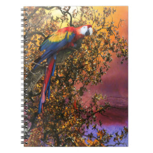 MAKAW-PARROT-REGENWALD-OUTPOST NOTIZBLOCK