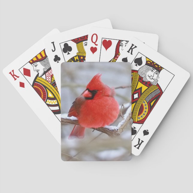 Make_Cardinal_Cards Spielkarten (Rückseite)
