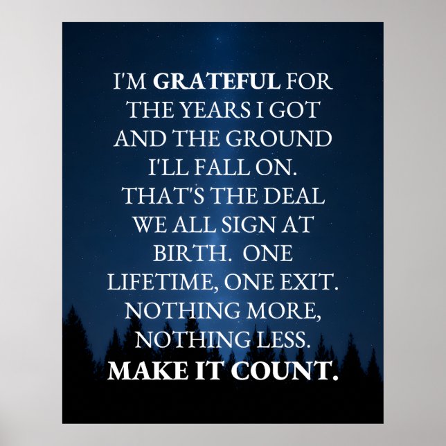 Make It Count! Poster (Vorne)