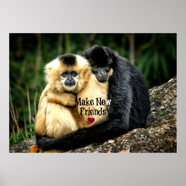 "Make New Friends" Poster (Vorne)