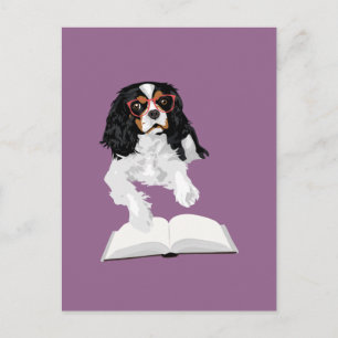 Maki The Smart Cavalier King Charles Spaniel Dog Postkarte