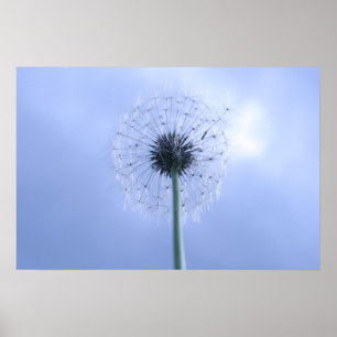 Makin' Wünsche Poster