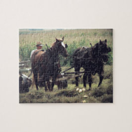 Making Hay With Horses