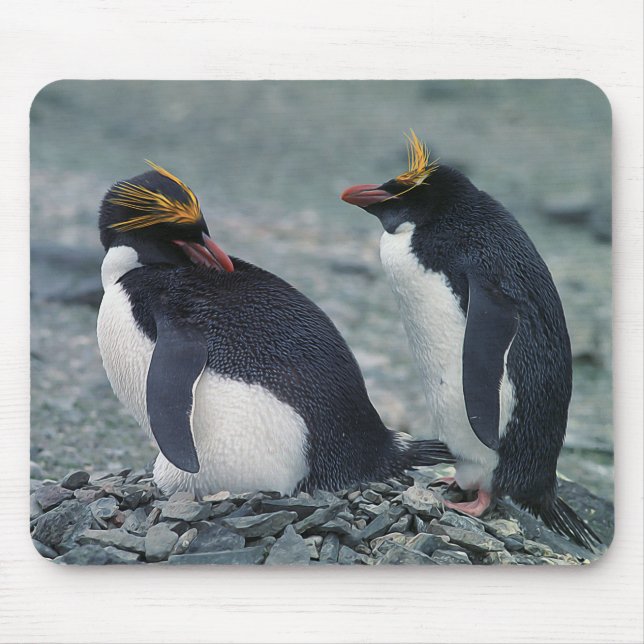 Makkaroni-Pinguine Mousepad (Vorne)