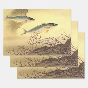 Makrelenfische im Ozean, Vintage-Japonismus-Kunst Geschenkpapier Set