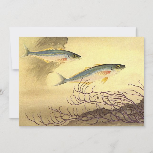 Makrelenfische Schwimmen im Ozean Einladung (Vorderseite)