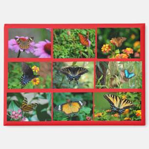 Makro Butterfells Postkarte Magnet