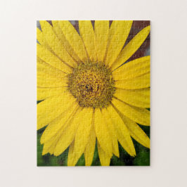 Makro der gelben Blume