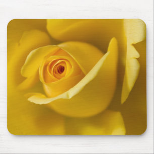 Makro gelbe Rose Mousepad