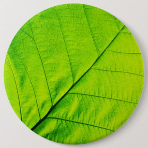 Makro grüner Blatt-Knopf Button