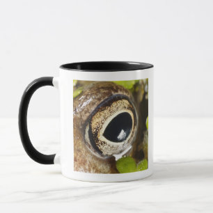 Makro; Horizontal; Farbe; Farbe; Niemand Tasse