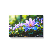 Makro Lila Waldwildblumen mit Tau