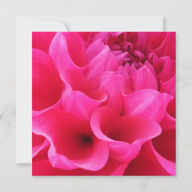 Makro Nah-up Delilah-Blume Karte (Vorderseite)