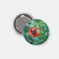 Makro-Rote Mohnblumen-Foto | Personalisierter Blum