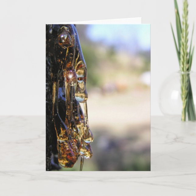 Makro: Tree Sap Liquid Diamonds Card Karte (Vorderseite)