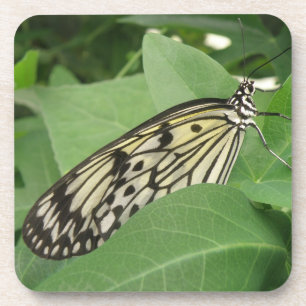 Makro-Untersetzer für Papierkite Butterfly Untersetzer