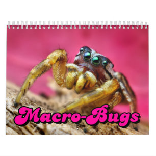 Makro-Wanzen Wandkalender