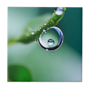Makro-Wassertropfen Fliese