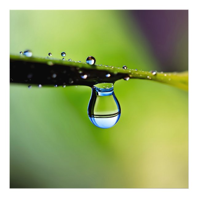 Makro-Wassertropfen Fotodruck (Vorne)