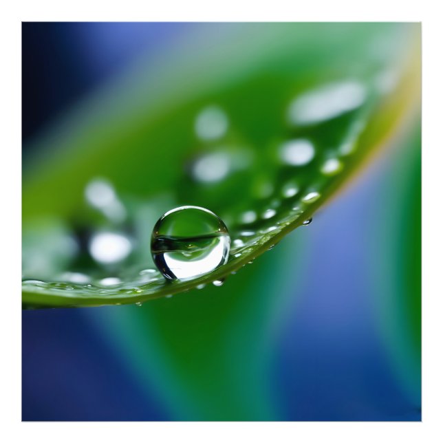 Makro-Wassertropfen Fotodruck (Vorne)