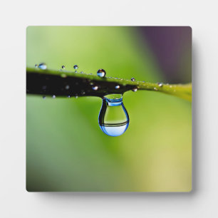 Makro-Wassertropfen Fotoplatte
