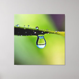 Makro-Wassertropfen Leinwanddruck