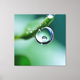 Makro-Wassertropfen Leinwanddruck