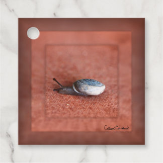 Makroaufnahme der Schnecke auf der Terracotta Geschenkanhänger
