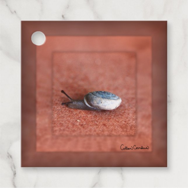 Makroaufnahme der Schnecke auf der Terracotta Geschenkanhänger (Vorderseite)