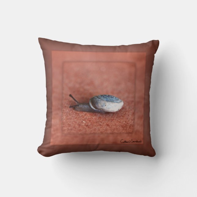 Makroaufnahme der Schnecke auf der Terracotta Kissen (Vorderseite)