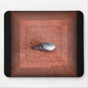 Makroaufnahme der Schnecke auf der Terracotta Mousepad