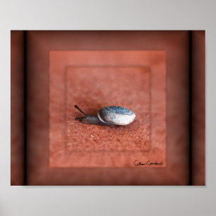 Makroaufnahme der Schnecke auf der Terracotta Poster