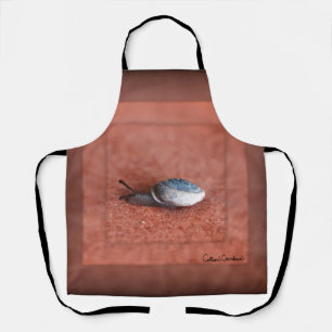 Makroaufnahme der Schnecke auf der Terracotta Schürze
