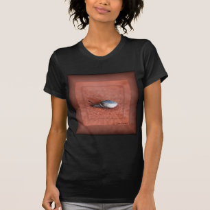 Makroaufnahme der Schnecke auf der Terracotta T-Shirt