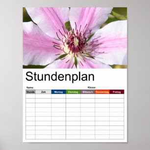 Makroaufnahme von weißer und violetter Clematis Poster