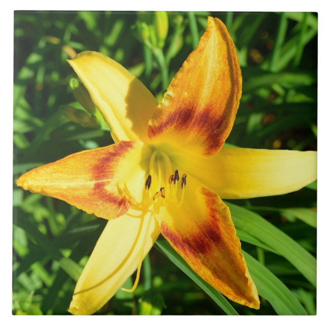 Makrobild einer Lilie-Blume Fliese (Vorderseite)
