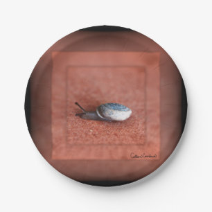 Makrofoto von Schnecke auf Terrakotta Pappteller