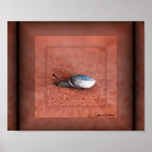 Makrofoto von Schnecke auf Terrakotta Poster