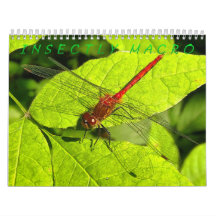 Makrofotografie-Kalender