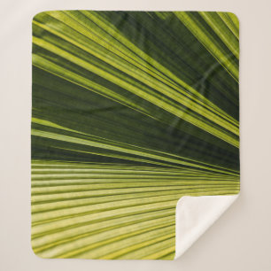 Makrofotografie Sherpadecke