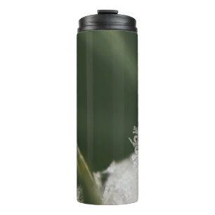 Makrofotografie von jetzt Kristallen Thermosbecher