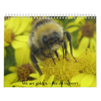 Makroinsekten-Kalender Kalender
