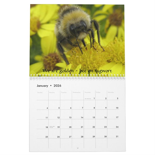 Makroinsekten-Kalender Kalender (Jan 2026)
