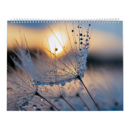 Makroökologische Foto Kalender