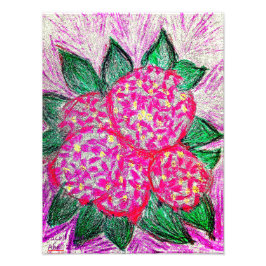 Makrophylla Fotodruck