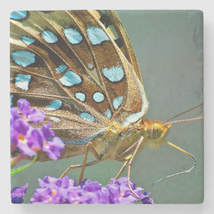 Makroschmetterling Steinuntersetzer