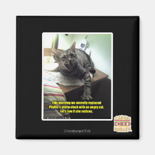 Mal sehen, ob sie es bemerkt. magnet