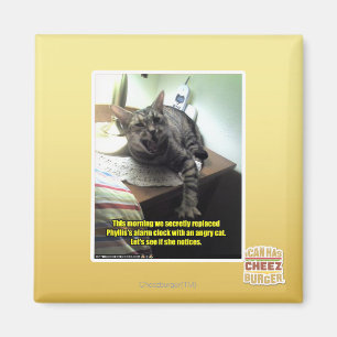 Mal sehen, ob sie es bemerkt. magnet