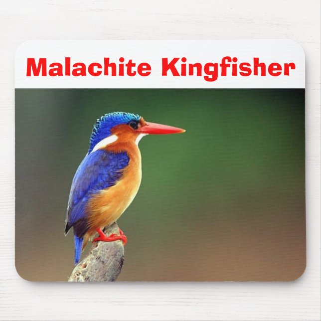 Malachit-Eisvogel, Malachit-Eisvogel Mousepad (Vorne)