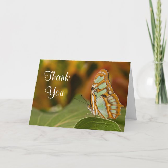Malachit-Schmetterling danken Ihnen zu kardieren Dankeskarte (Vorderseite)